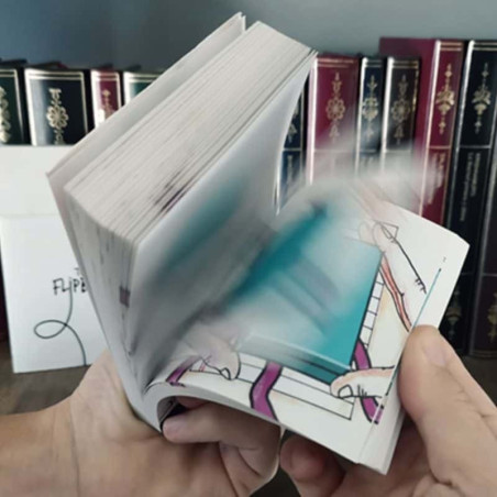 FLIPBOOK (completo)