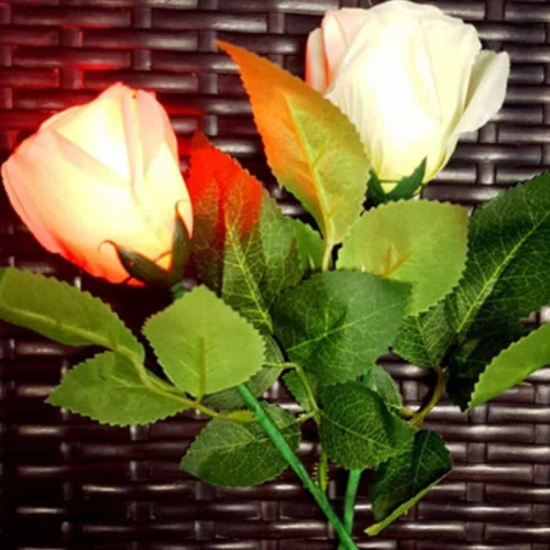ROSA LUMINOSA ROJA - JL