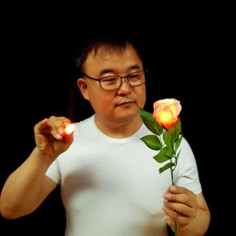 ROSA LUMINOSA ROJA - JL 2