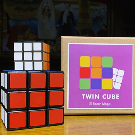 TWIN CUBE (Rubik)