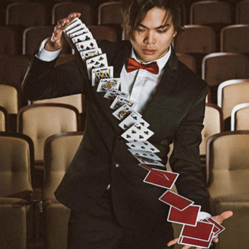 BARAJA NOC SHIN LIM - EDICION LIMITADA