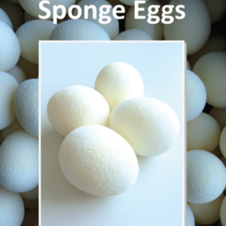 HUEVOS DE ESPONJA - ALAN WONG ( 4u.)