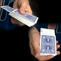 RISING CARD - Bicycle 2