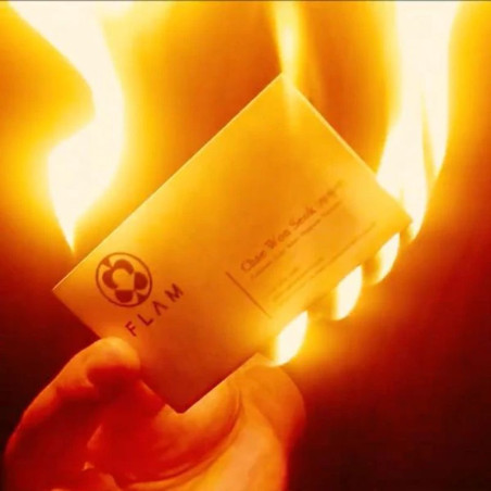 PROMETHEUS - fuego
