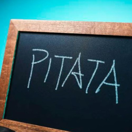 PIZARRA INVERSION - Pitata