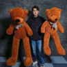 OSITO TEDDY - Bond Lee (Oferta Nuevo Precio)