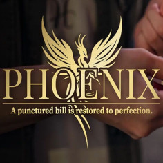PHOENIX (Euros) - Hanson Chien