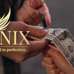 PHOENIX (Euros) - Hanson Chien 2