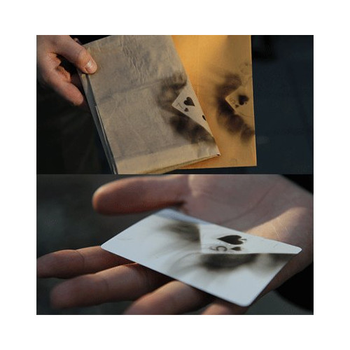 TRACE ( DVD + GIMMICKS)