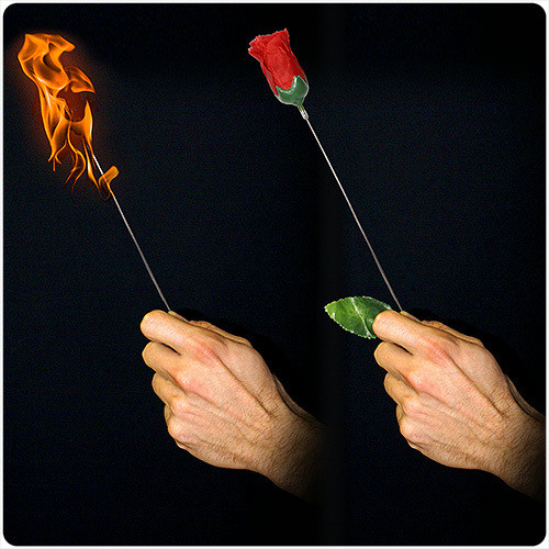 ANTORCHA A ROSA PLUS