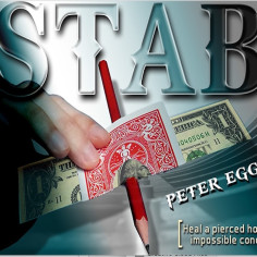 STAB - PETER EGGINK