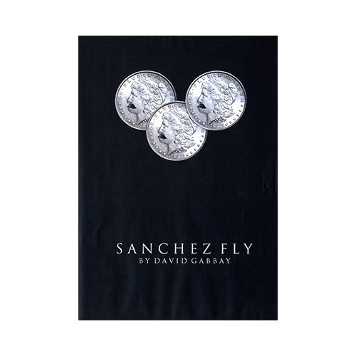 Sanchez Fly by David Gabbay - video - DOWNLOAD