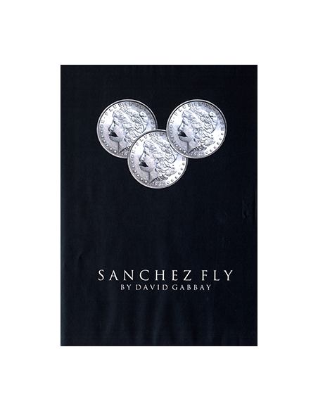 Sanchez Fly by David Gabbay - video - DOWNLOAD
